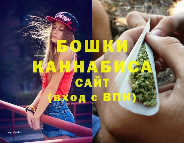 бошки Мегион