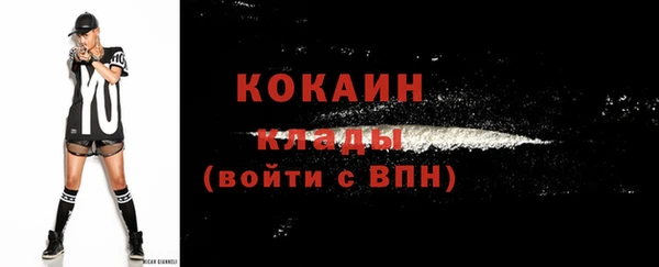 бошки Мегион