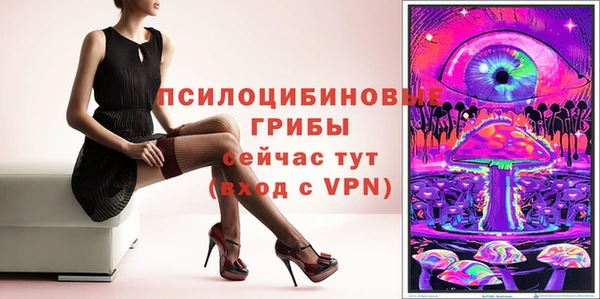 бошки Мегион
