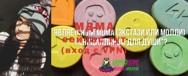 бошки Мегион
